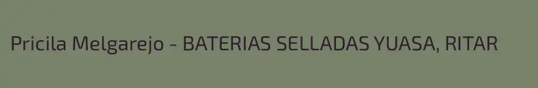 Pricila Melgarejo - BATERIAS SELLADAS YUASA, RITAR